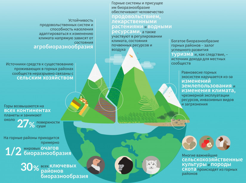 В Международный день гор эксперты обсудили развитие горных территорий в странах Содружества