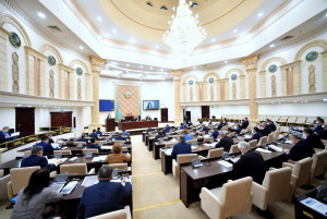 Казахстанские сенаторы приняли законопроект о совершенствовании государственной службы