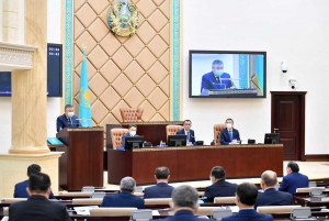 Senators of Republic of Kazakhstan Adopted Law on Provision of Personnel Services