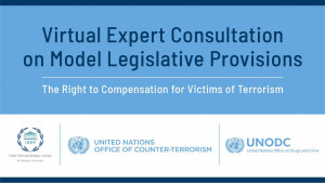 Международные эксперты обсудили проблемы законодательного обеспечения прав жертв терроризма