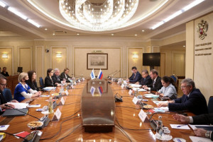 Russian Senators Discussed OSCE Development with Organization’s Leadership