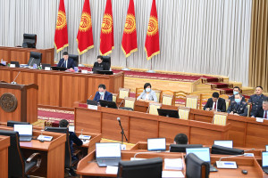 Депутаты Жогорку Кенеша Кыргызской Республики законодательно усилили систему профилактики правонарушений
