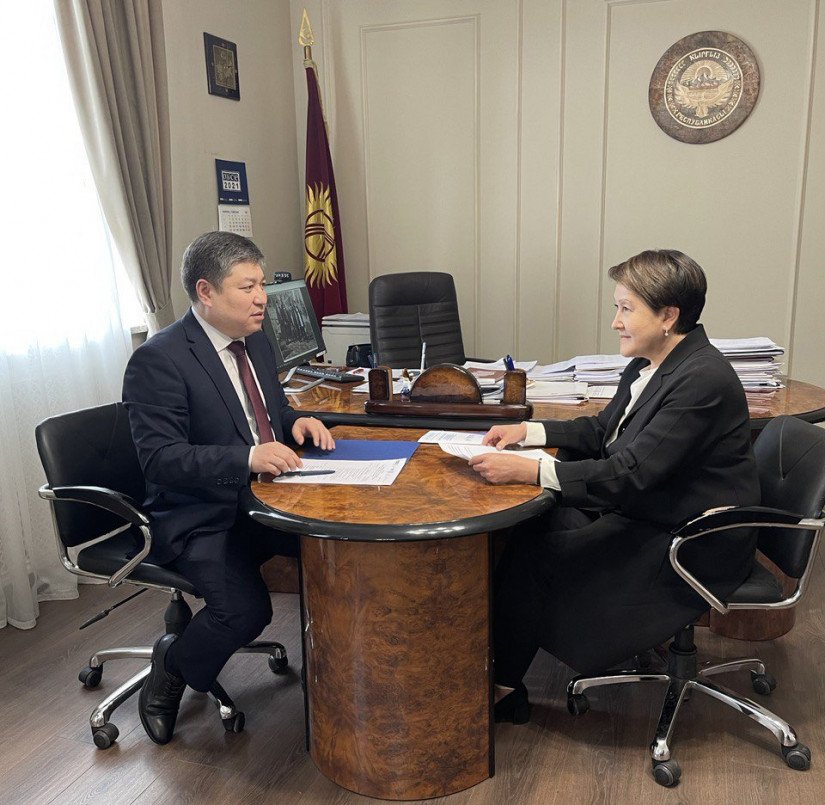 Nurbek Satvaldiev Met With Chair of Central Commission on Elections and Referenda of Kyrgyz Republic