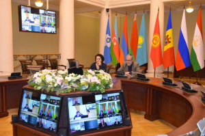 CIS Experts Discussed Issues of National E-Health Systems Integration