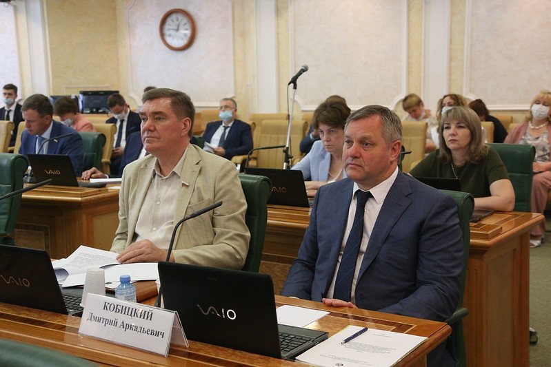 Dmitriy Kobitskiy Addressed Federation Council Committee   