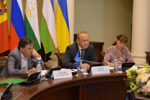 Experts Discussed Issues of Establishment of CIS Advisory Board of Heads of Electoral Bodies