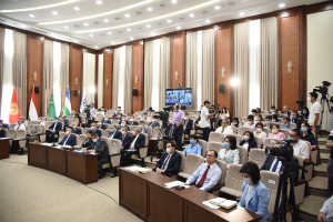 Парламентарии стран СНГ обсудили вопросы взаимосвязи Центральной и Южной Азии
