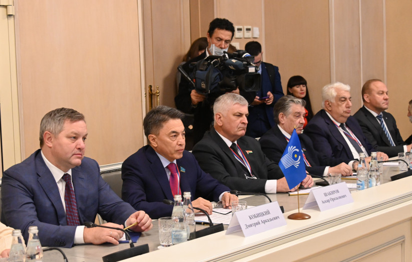 Представители политических партий поделились с наблюдателями мнениями о парламентских выборах в России