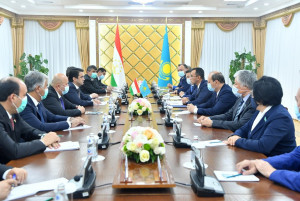 Парламенты Казахстана и Таджикистана укрепляют сотрудничество