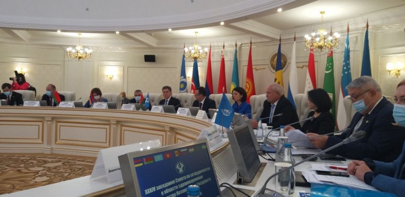CIS Health Experts Discussed Preparations for Joint Conference of IPA CIS and WHO European Office 