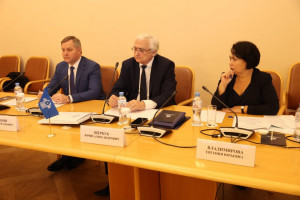 Tavricheskiy Palace Hosted a Meeting of IPA CIS Expert Advisory Board on Public Health