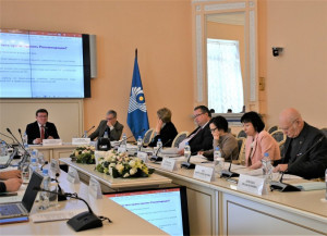 Experts Discussed Draft Model Laws in Field of Digitalization