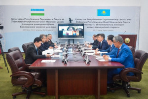 Senators of Kazakhstan and Uzbekistan Discussed Problems of Aral Sea