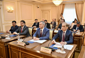 Мониторинговая группа МПА СНГ обсудила проведение референдума с руководством Конституционного Совета Республики Казахстан 