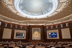 Law on State Civil Service Approved by Uzbek Senators