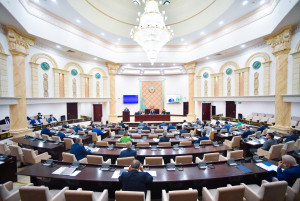 В Сенате Парламента Республики Казахстан принят закон о развитии волонтерской деятельности