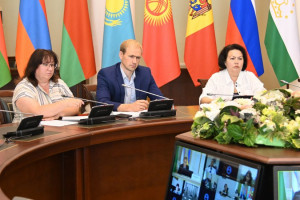 CIS Experts Discussed Development of Bilateral Cooperation in Field of Pensions