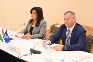 IPA CIS Observers Outlined a Work Plan for Presidential Elections in Kazakhstan