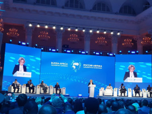 Участники конференции «Россия — Африка» обсудили укрепление парламентского сотрудничества