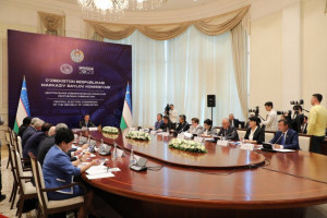 IPA CIS Observers to Monitor Constitutional Referendum in Uzbekistan