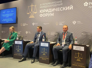 Involvement of Youth in Election Observation Discussed at International Legal Forum