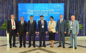 Конвенция о стандартах демократических выборов в СНГ вызвала интерес у депутатов Узбекистана 