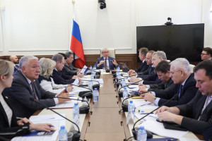 Российские сенаторы обсудили меры борьбы с вмешательством в дела государства через мониторинг выборов