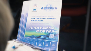 Вопросы развития арктического региона обсудили в Санкт-Петербурге