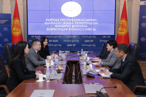 Директор Бишкекского филиала МИМРД МПА СНГ встретился с Председателем ЦИК Кыргызстана