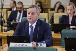 Dmitriy Kobitskiy Spoke at Upper House of Russian Parliament