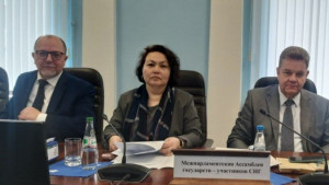 MPs Discussed Draft Model Law on Protection Health of Citizens from Exposure to Environmental Tobacco Smoke in Minsk. 
