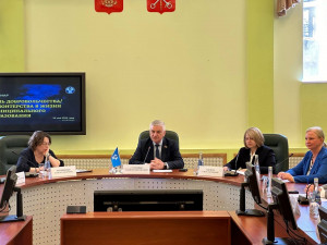 Успешные примеры взаимодействия волонтеров и органов местной власти представили на семинаре в Санкт-Петербурге