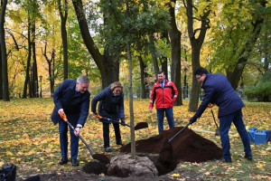 Young Oak Trees Planted Near Tavricheskiy Palace in Honour of its 235th Anniversary