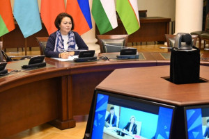 Ombudsmen Were Presented IPA CIS Activities on Protection of Human Rights Under Digitalization