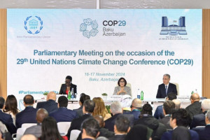 Role of Parliamentary Organisations in Fighting Climate Change Discussed at COP29 Conference in Azerbaijan