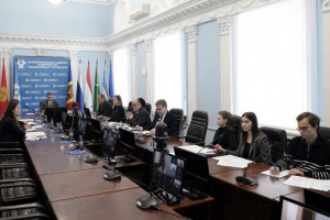 Experts From Commonwealth Countries Discussed Issues of Medical Insurance for Migrant Workers and Their Family Members