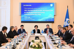 CIS MPs Discuss Situation in Middle East