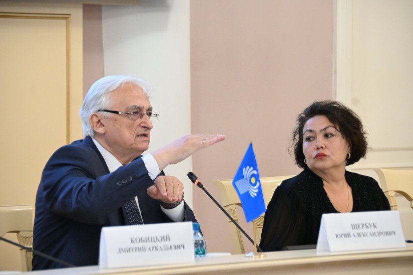 CIS Experts Discussed Introduction of Digitalization, Use of AI, and Protection of Rights of Doctors and Patients