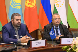 Представители координационного механизма парламентских ассамблей подвели промежуточные итоги 2025 года