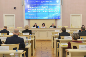 Продолжается работа над проектом Концепции общего миграционного пространства в СНГ