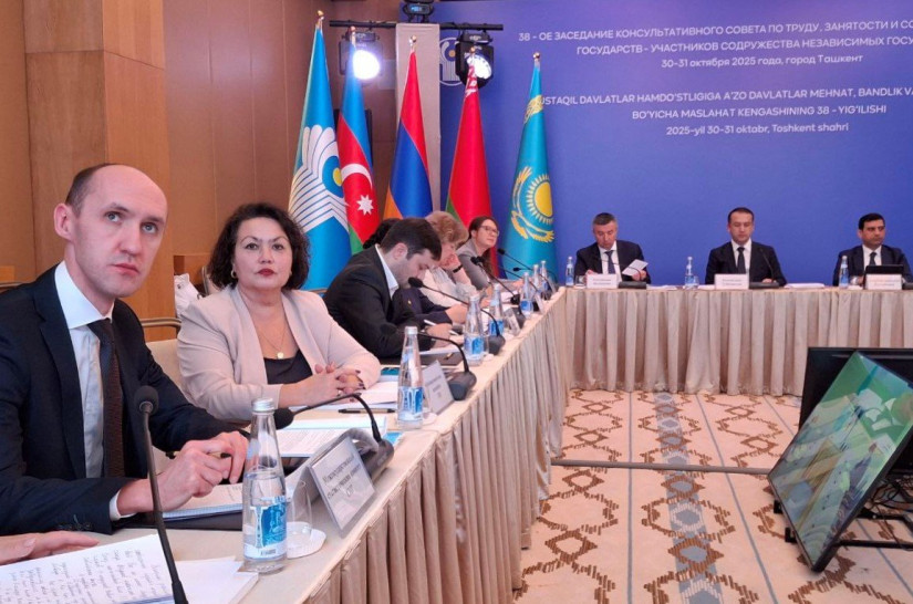 Рекомендации МПА СНГ представили Консультативному Совету по труду, занятости и социальной защите населения стран СНГ
