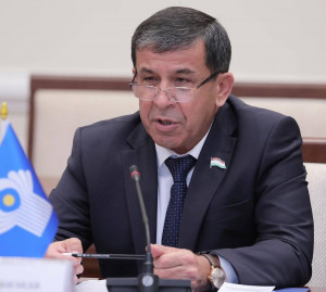 Махмадали Ватанзода назначен координатором группы наблюдателей от МПА СНГ на парламентских выборах в Кыргызстане