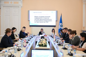 Эксперты стран СНГ: легкая промышленность требует комплексной поддержки