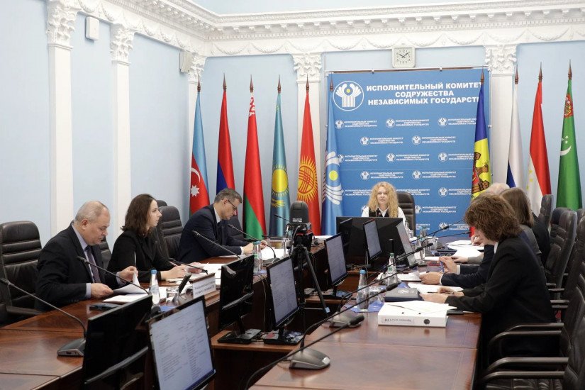 CIS Experts Agreed Project Plan Priority Activities on Humanitarian Cooperation for 2027–2028 