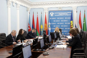CIS Experts Agreed Project Plan Priority Activities on Humanitarian Cooperation for 2027–2028 