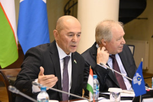 IPA CIS Prepares Model Law on Digital Platforms and their Use by Participants in Civil Turnover 