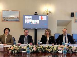 Рабочая группа МПА СНГ подвела итоги работы над проектом модельного закона «О платформенной занятости»