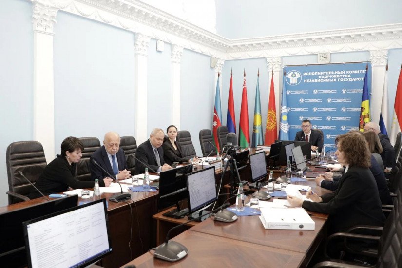 Action Plan in Field of Humanitarian Cooperation Within Commonwealth of Independent States Finalized 