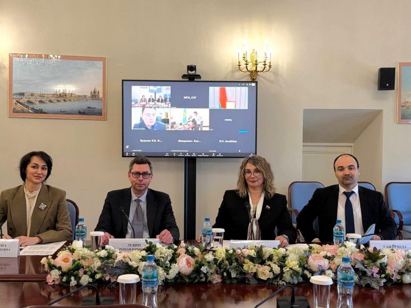 IPA CIS Working Group Finalized Draft Model Law on Platform Work
