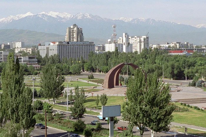 Миссия наблюдателей СНГ дала положительную оценку процессу организации и проведения в Кыргызстане